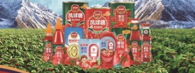 东莞永益食品：番茄酱头部品牌的“出圈”之路
