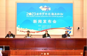 报名持续升温，相约花海赛道，2023曲靖罗平花海马拉松新闻发布会成功举办