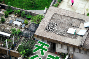 天台上的春天：方寸之地 别样生活