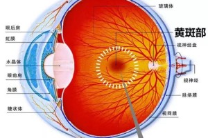 近视与干眼症：辨析与护眼之道