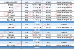 本周开盘:11月末周楼市大放异彩 14盘面市年终大戏拉开帷幕