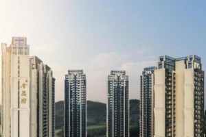 产品主义重塑深圳格局,龙华金茂府首开劲销37.2亿!