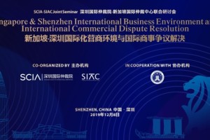 深圳和新加坡共商国际化营商环境与国际商事争议解决
